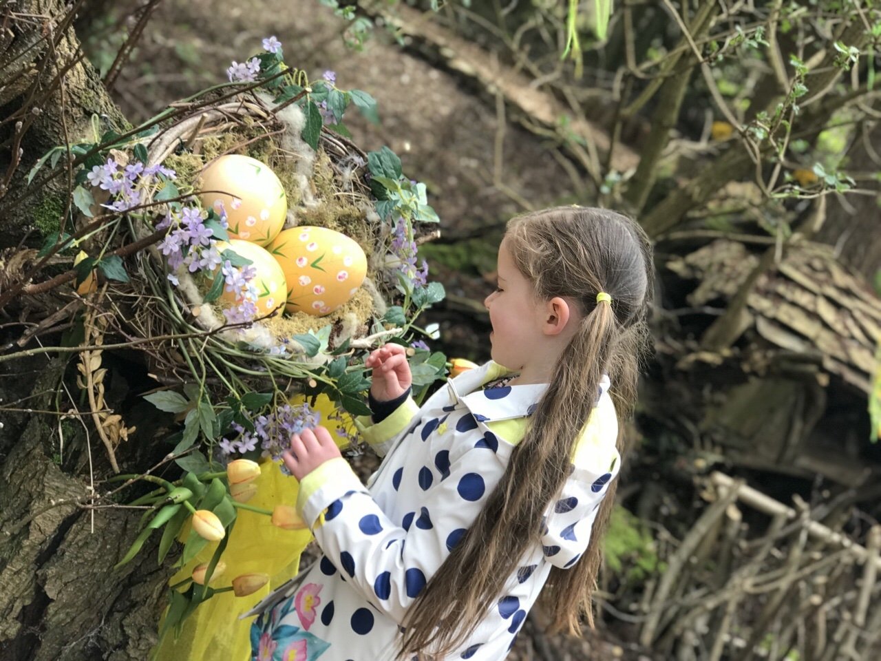 Child standing looking at Easter eggs in the forest. Easter Train at Audley End 